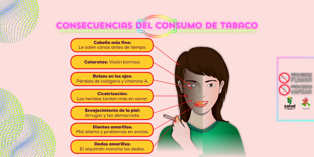 Consecuencias del consumo del tabaco Consecuencias del consumo del tabaco