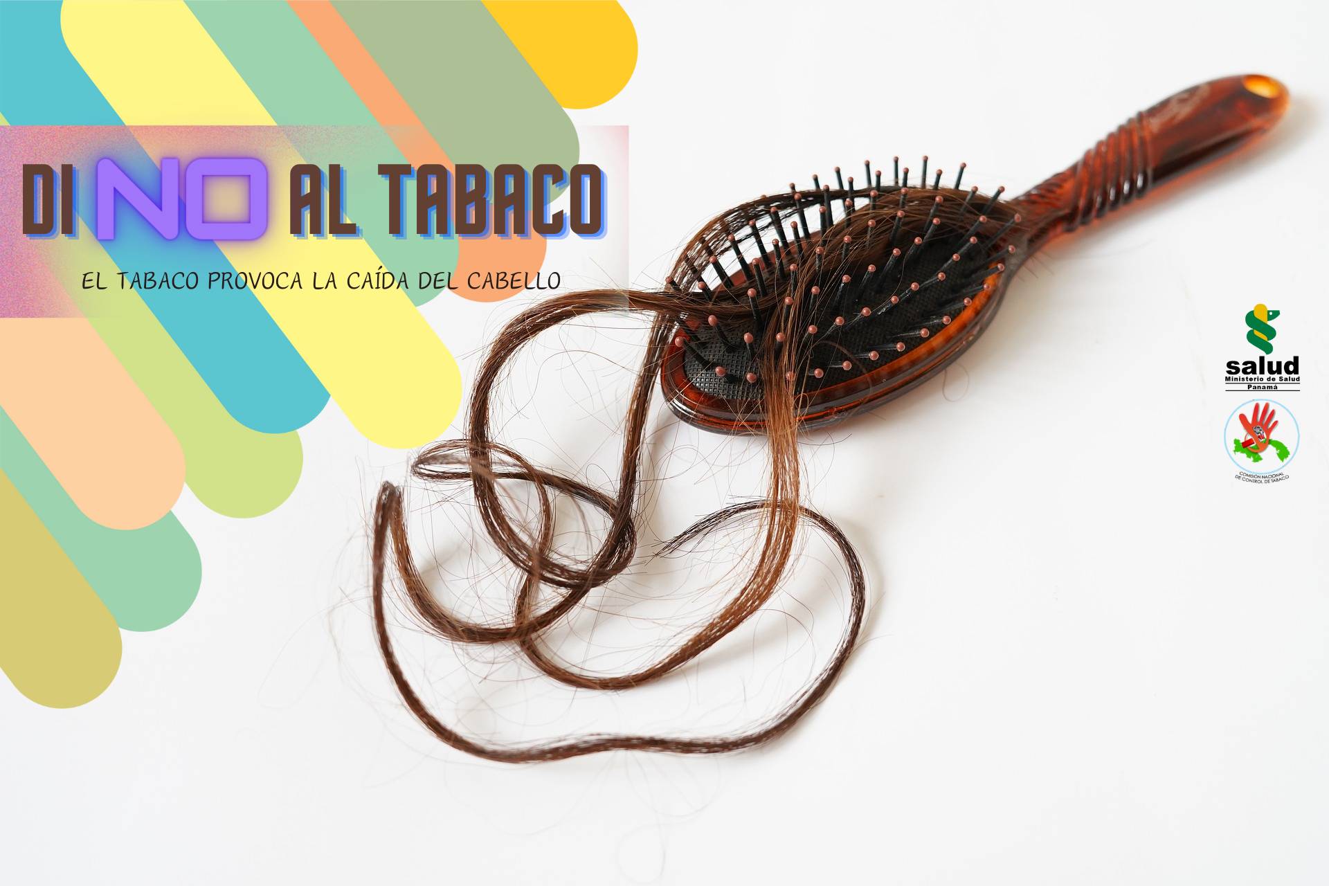 Caída del cabello Caída del cabello